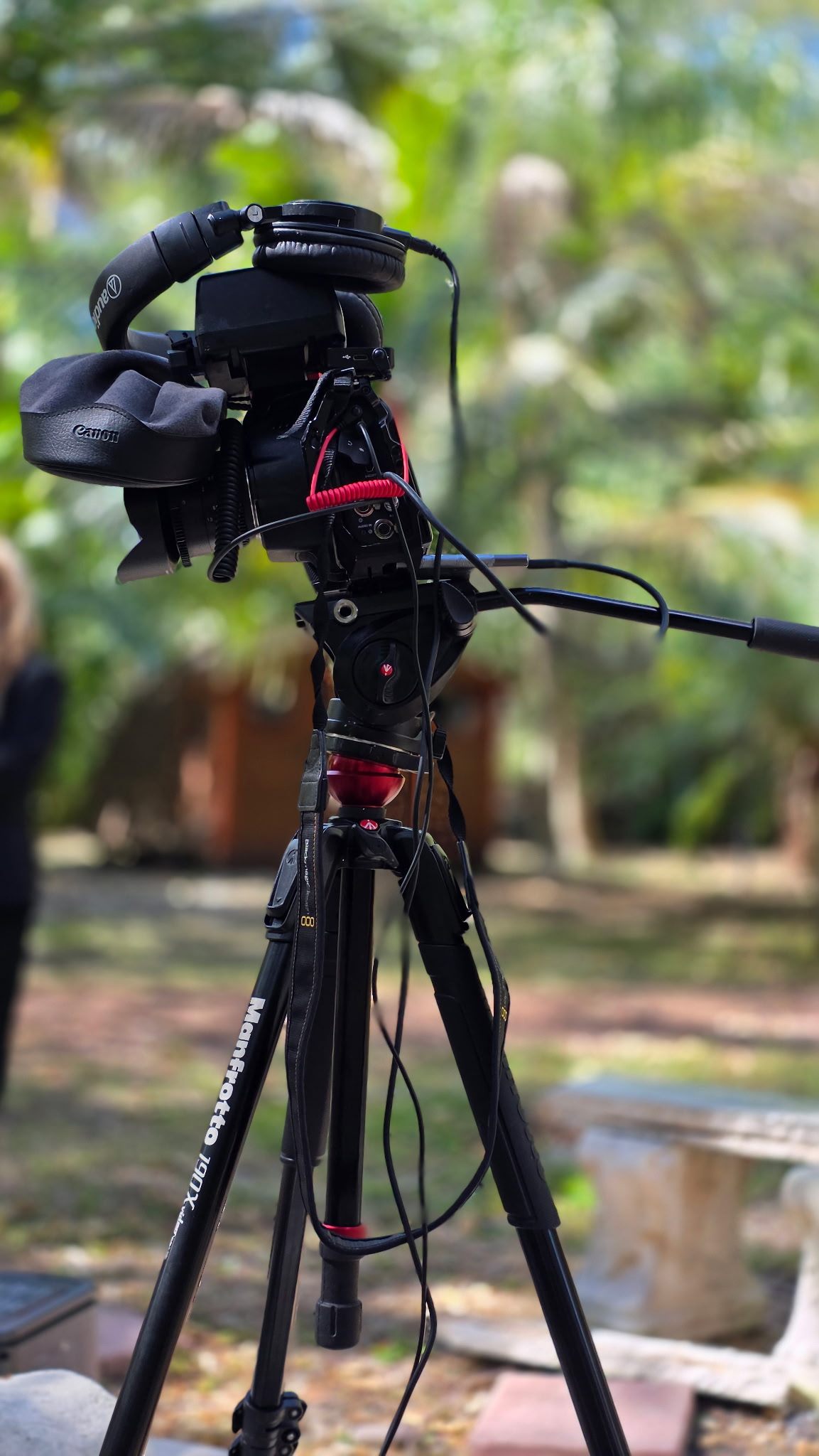 Cinema camera rig staged for a location shoot in a lush garden.